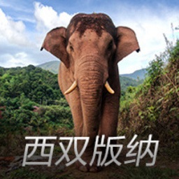 租客随口一句“床和沙发有点旧了”，杭州房东的回复让他蒙了